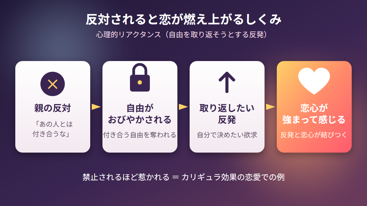 親の反対で自由がおびやかされ、反発から恋心が強まるカリギュラ効果のしくみ
